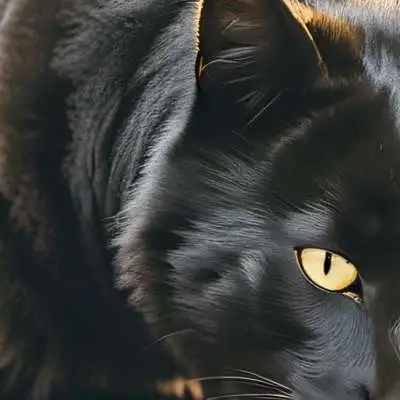 chat with ai character: Security breach