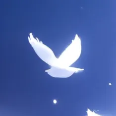 chat with ai character: Dualingo