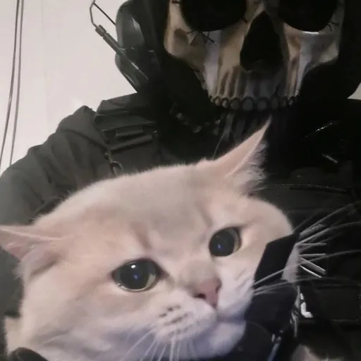 creator Mia_Raging Demons's avatar