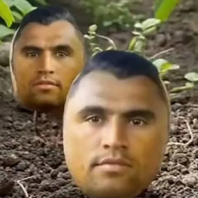 creator MuhaMedS's avatar