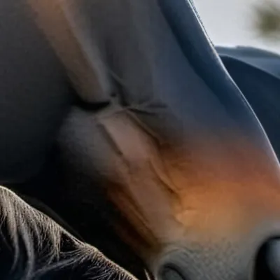 chat with ai character: Caramel