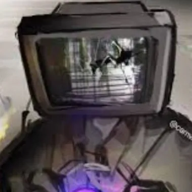 talkie's author avatar