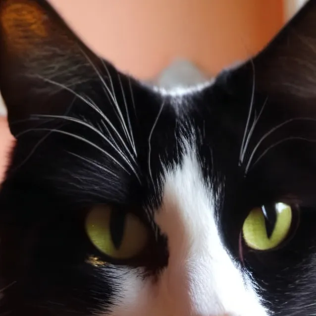 chat with ai character: Oreo