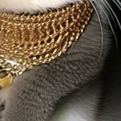 chat with ai character: Nameless