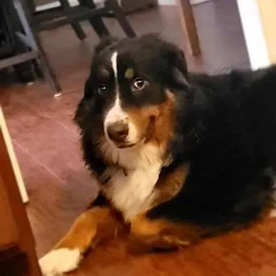 creator Cheese_Casserole's avatar