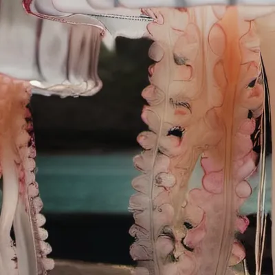 chat with ai character: This is a test!!!!