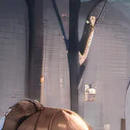 chat with ai character: Jade