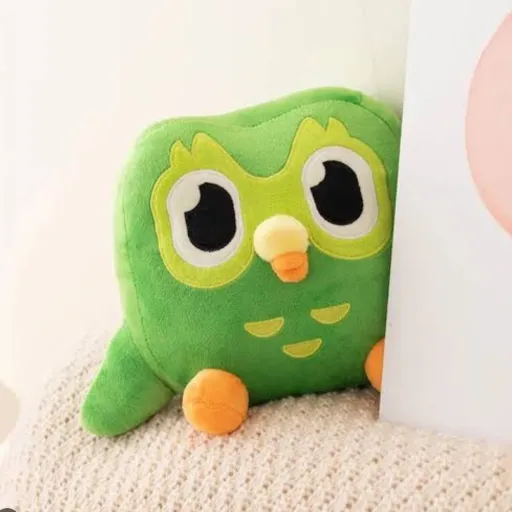 creator Duolingoschild's avatar