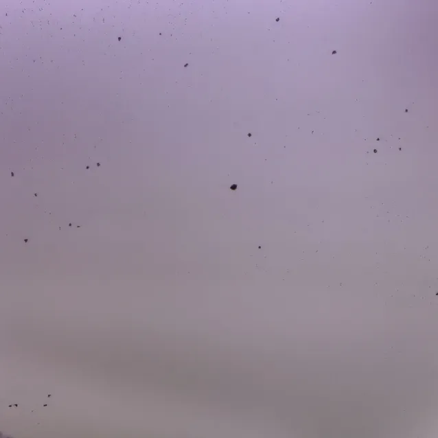 chat with ai character: charlie