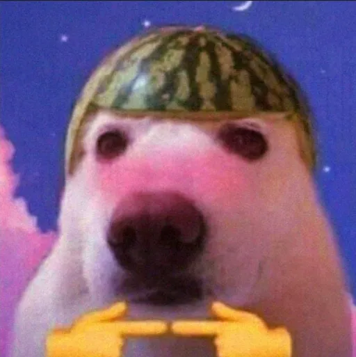 creator nahcgnab's avatar