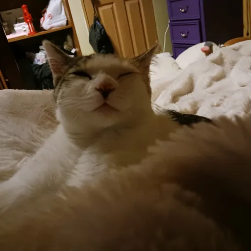 creator Olivia_swift13's avatar