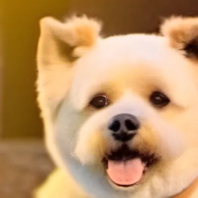 chat with ai character: Gucci