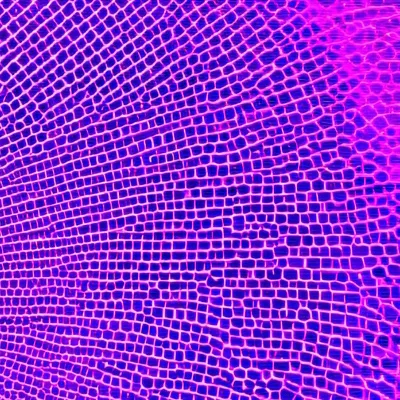 chat with ai character: Vanessa   ((FNaF))