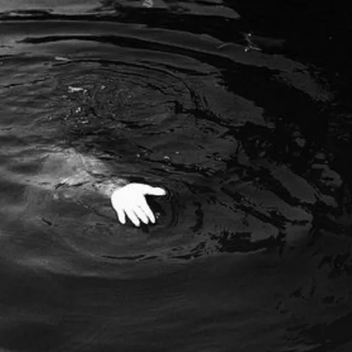 creator MaraudersSimp.'s avatar