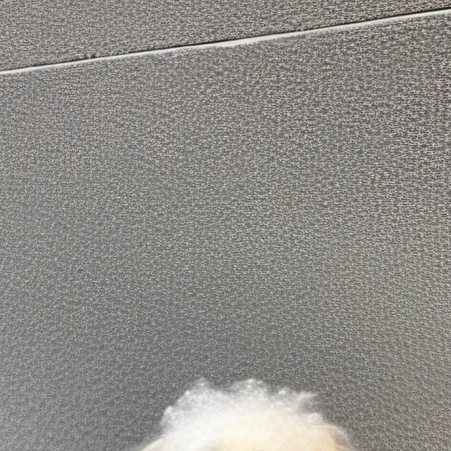 chat with ai character: coco