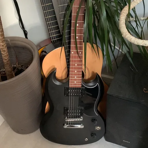 creator 《•Mynx Lynx•》's avatar