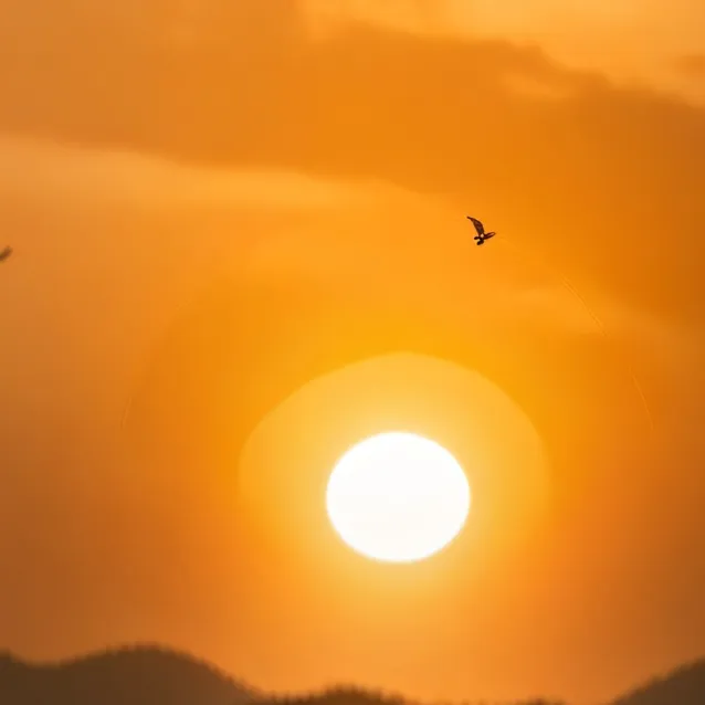 chat with ai character: Girl UA Roomates