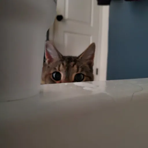 creator Talkior-R4al8xEa's avatar