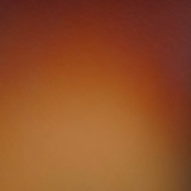 chat with ai character: Amelia 