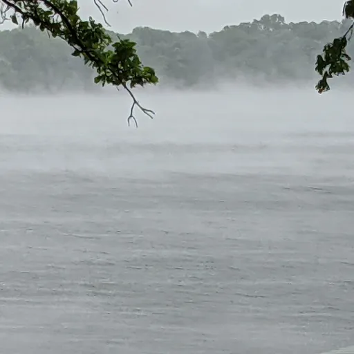 creator NotsurejustaNAME's avatar