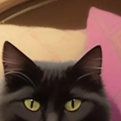 chat with ai character: Felicity