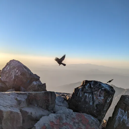 creator Sane2's avatar