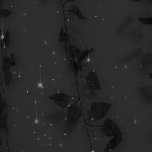 creator Rachael m's avatar