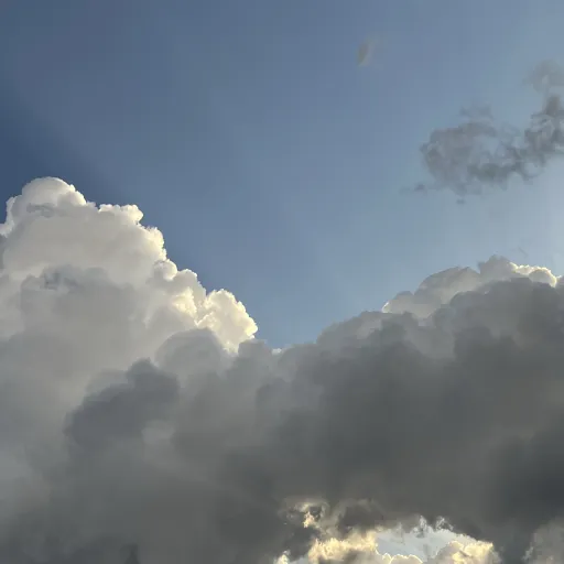 creator 𝙅𝙖𝙣𝙞!✭'s avatar