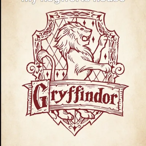 creator Talkior-8dd04kDp's avatar