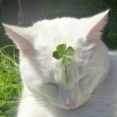 creator Cl0v3rs's avatar