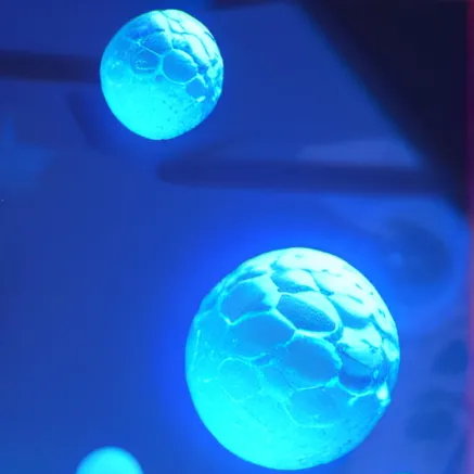 chat with ai character: Pregnant roommate 