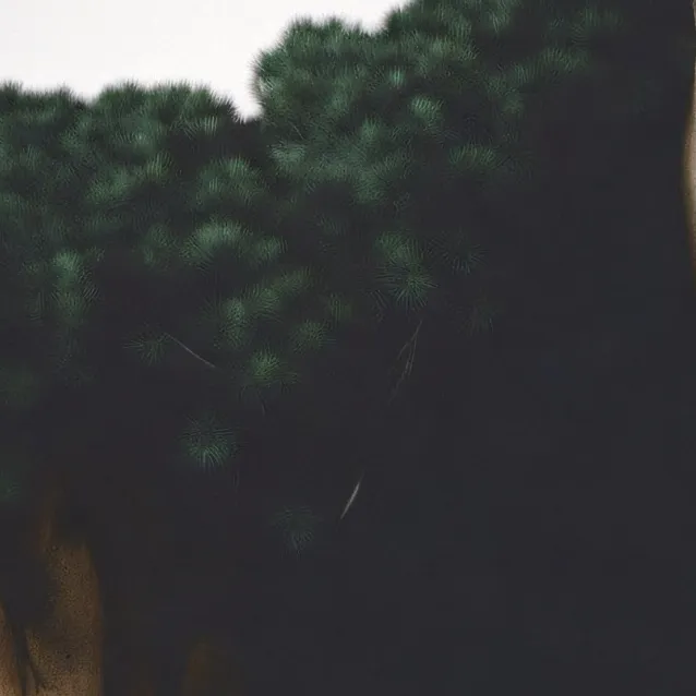 chat with ai character: Camp Cretaceous 