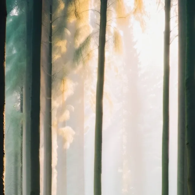 chat with ai character: Countryhumans 