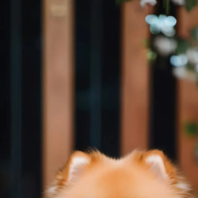 chat with ai character: toby