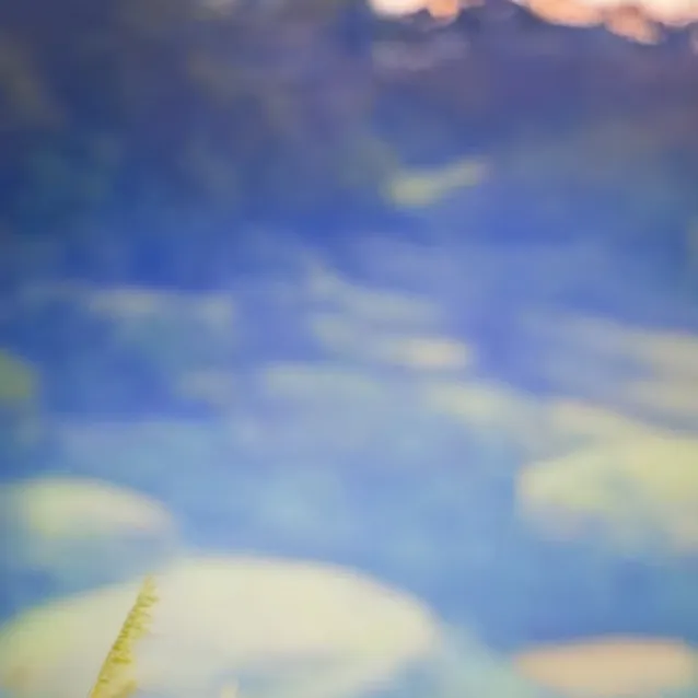 chat with ai character: snowball the dog