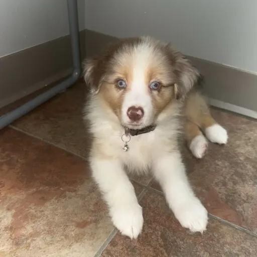 creator layla:)))'s avatar