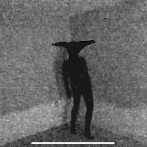 creator I’m not a bot!'s avatar