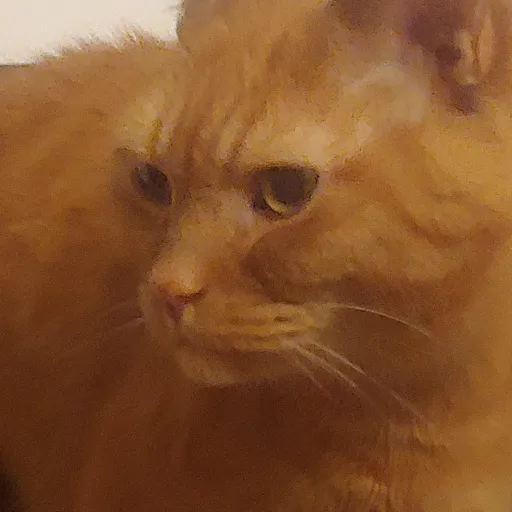 creator hi im Sun!'s avatar