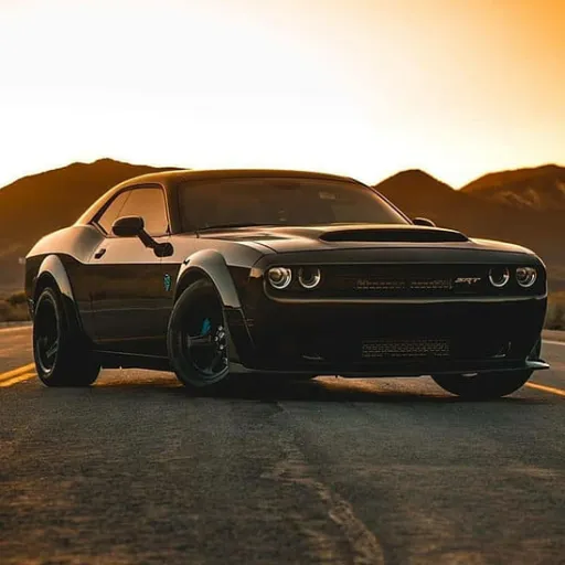 creator Just a random's avatar