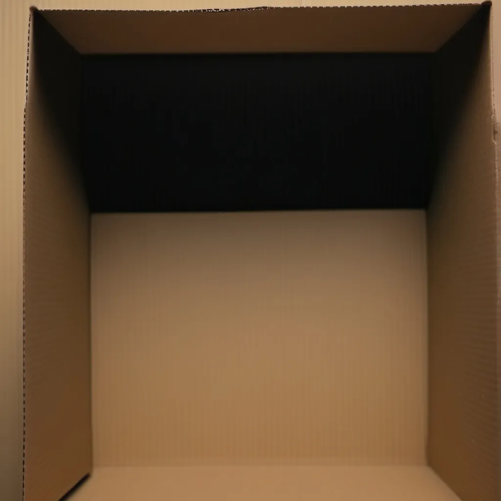 chat with ai character:  cardboard box