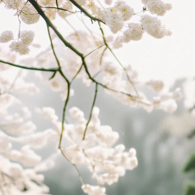 chat with ai character: your bf Andres