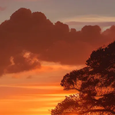 chat with ai character: Rose