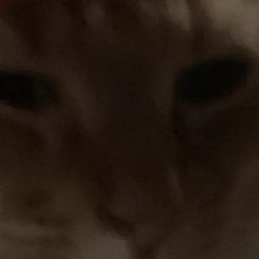 creator Drarry lover's avatar