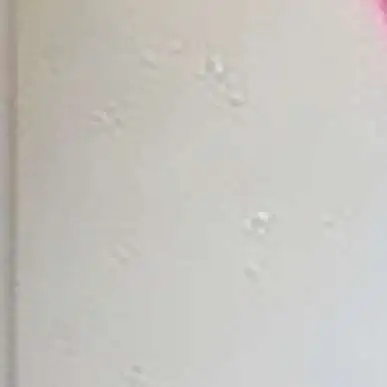 chat with ai character: Dandy's World!