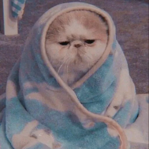 creator Emeralddd?dddddddd's avatar