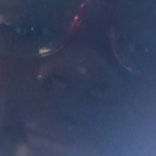 creator cloudyyyyy eggggyy's avatar