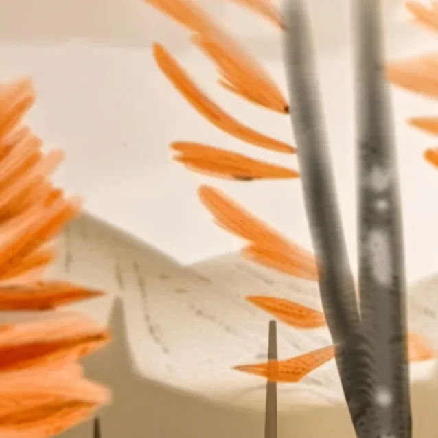 chat with ai character: The ✨️Lorax✨️