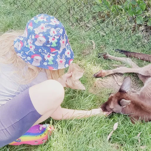 talkie's author avatar