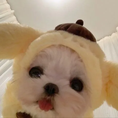 creator omgxparis's avatar