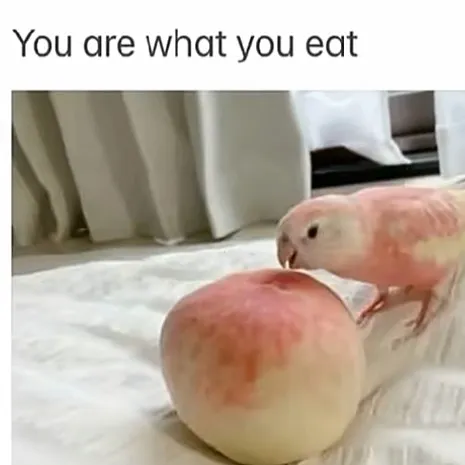 creator Skylarxx's avatar